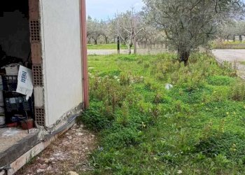 WhatsApp Image 2026-01-19 at 18.34.20(2).jpeg - Villa Località Scalo Ferroviario, Feroleto Antico - foto 9