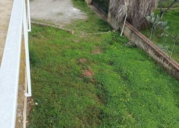 WhatsApp Image 2026-01-19 at 18.34.20.jpeg - Villa Località Scalo Ferroviario, Feroleto Antico - foto 10