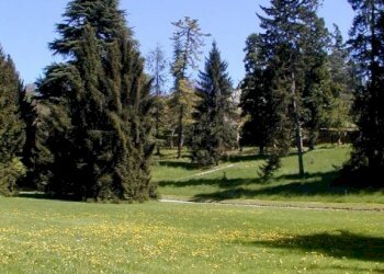 Bilocale Torino (zona Madonna del Pilone) - foto 2