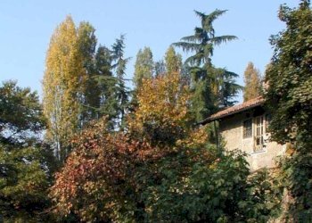 Bilocale Torino (zona Madonna del Pilone) - foto 3