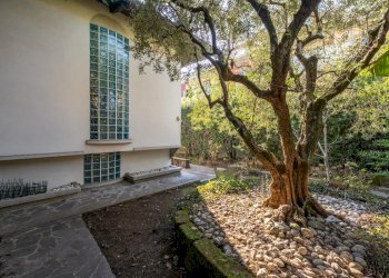 Villa Gorgonzola - foto 36