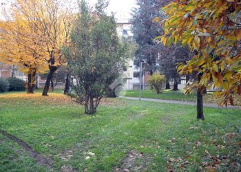 Bilocale Via Demonte, Milano (zona Niguarda) - foto 18