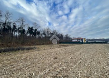 Terreno edificabile Via Cascinetta Interna, Gattico-Veruno - foto 14
