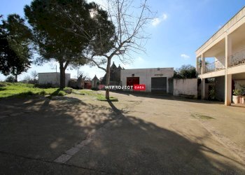 Locale Commerciale Contrada Scarciglia, Monopoli - foto 10