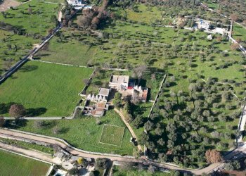 Locale Commerciale Contrada Scarciglia, Monopoli - foto 17