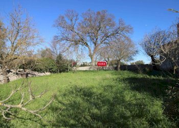 Locale Commerciale Contrada Scarciglia, Monopoli - foto 34