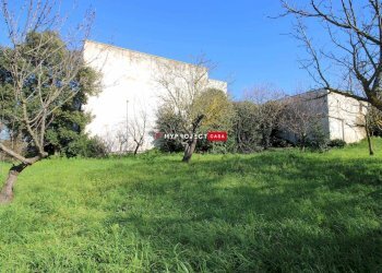 Locale Commerciale Contrada Scarciglia, Monopoli - foto 37