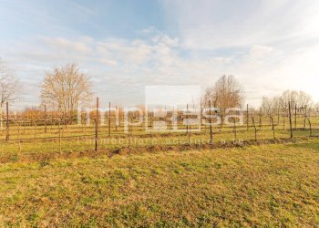 Foto 28 - Independent house Arcade, Arcade - photo 28