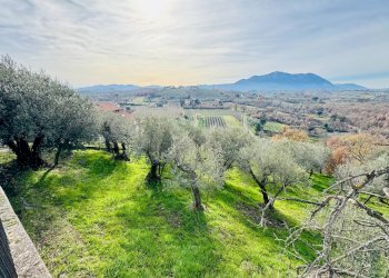 Foto 31 - Casa indipendente VIA TOPPOLE, Sant'Angelo all'Esca - foto 31