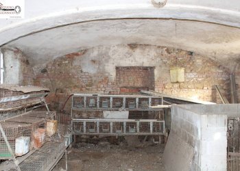 Foto 29 - Casa indipendente Via Dante Alighieri
 
5, Sandigliano - foto 29