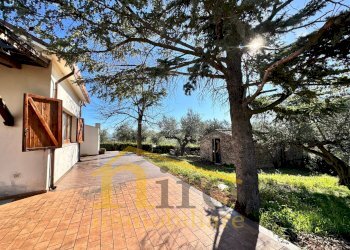 Foto 4 - Independent house Contrada Senarica
 
8, Moscufo - photo 4