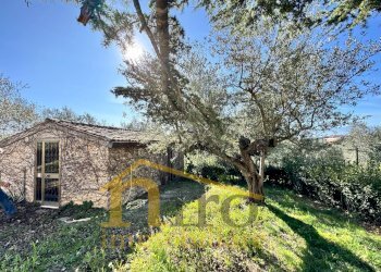 Foto 6 - Independent house Contrada Senarica
 
8, Moscufo - photo 6