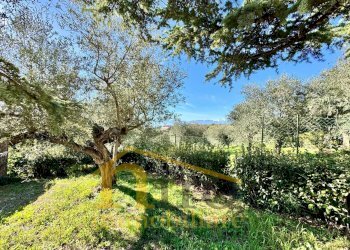 Foto 8 - Independent house Contrada Senarica
 
8, Moscufo - photo 8