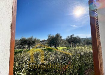 Foto 26 - Independent house Contrada Senarica
 
8, Moscufo - photo 26