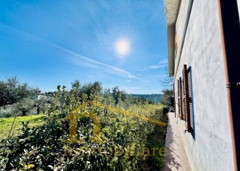 Foto 36 - Independent house Contrada Senarica
 
8, Moscufo - photo 36