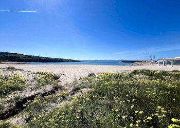 Foto 33 - Bilocale Trinità d'Agultu e Vignola - foto 33