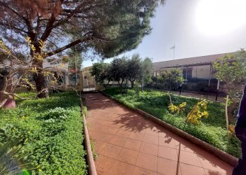 Giardino - Villa Via TF133
 
sn, Campobello di Mazara - foto 33