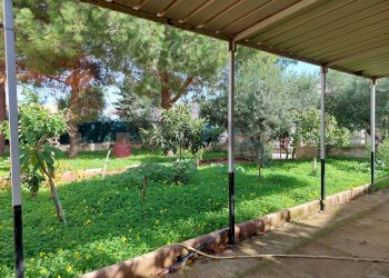 Giardino - Villa Via TF133
 
sn, Campobello di Mazara - foto 42