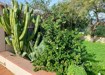 Giardino - Villa Via TF133
 
sn, Campobello di Mazara - foto 43