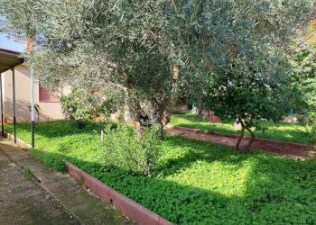 Giardino - Villa Via TF133
 
sn, Campobello di Mazara - foto 44