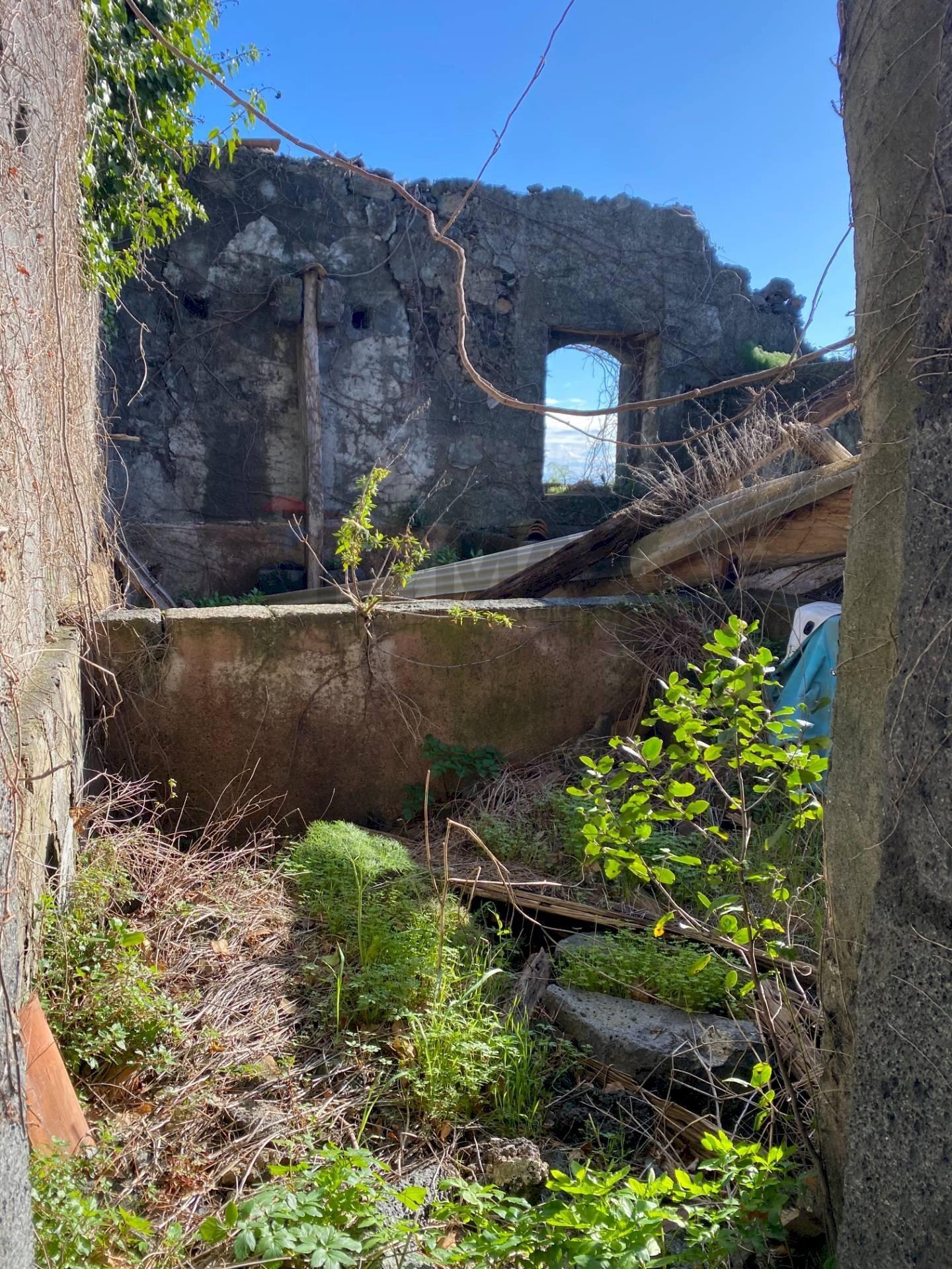 Vista delle montagne - Rustico Via Torretta
 
77, Acireale - foto 2