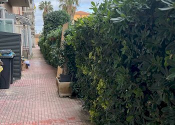 Terrazza - Appartamento Viale dei Platani
 
105/D, Paterno - foto 35