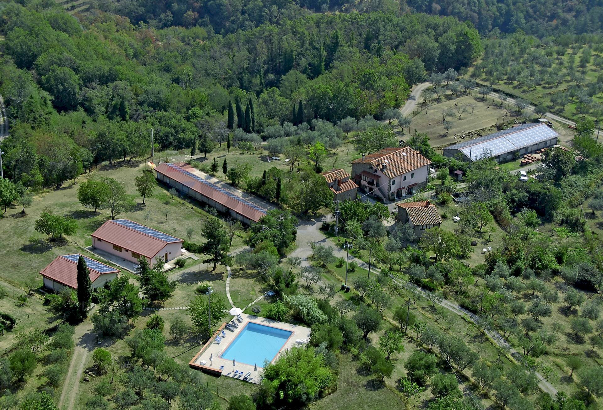 Vista delle montagne - Agriturismo Strada Comunale di Pulicciano
 
120, Castelfranco Piandiscò - foto 2