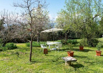 Giardino - Rustico Strada Provinciale di Pulicciano, Castelfranco Piandiscò - foto 6