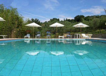 Piscina - Rustico Strada Provinciale di Pulicciano, Castelfranco Piandiscò - foto 8