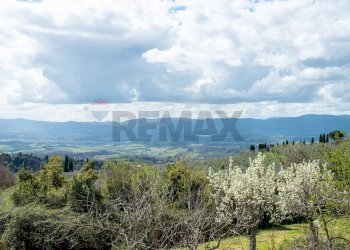 Vista delle montagne - Rustico Strada Provinciale di Pulicciano, Castelfranco Piandiscò - foto 26