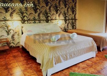 Camera / camera da letto - Hotel CORSO MEDITERRANEO
1, Santa Croce Camerina - foto 34