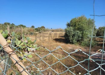 Vista delle montagne - Hotel CORSO MEDITERRANEO
1, Santa Croce Camerina - foto 78