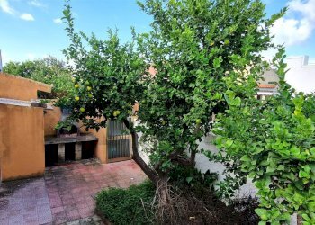 Giardino - Villa Viale dei Villini
 
13, Noto - foto 3