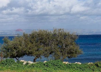 Vista dell\'acqua - Villa Viale dei Villini
 
13, Noto - foto 17