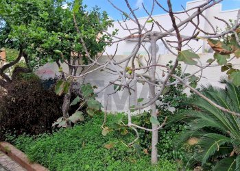 Giardino - Villa Viale dei Villini
 
13, Noto - foto 28