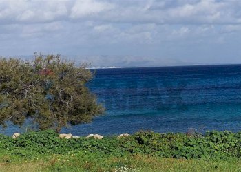 Vista dell\'acqua - Villa Viale dei Villini
 
13, Noto - foto 36