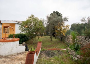 Giardino - Villa cavasecca, Noto - foto 5