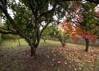 Giardino - Villa cavasecca, Noto - foto 12