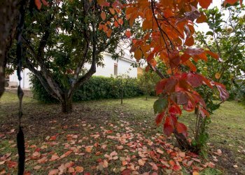 Giardino - Villa cavasecca, Noto - foto 13