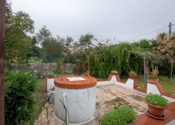 Giardino - Villa cavasecca, Noto - foto 24