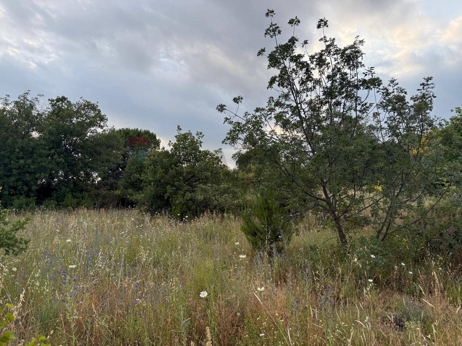 Giardino - Agricultural land Contrada Fusara, Nicolosi - photo 2