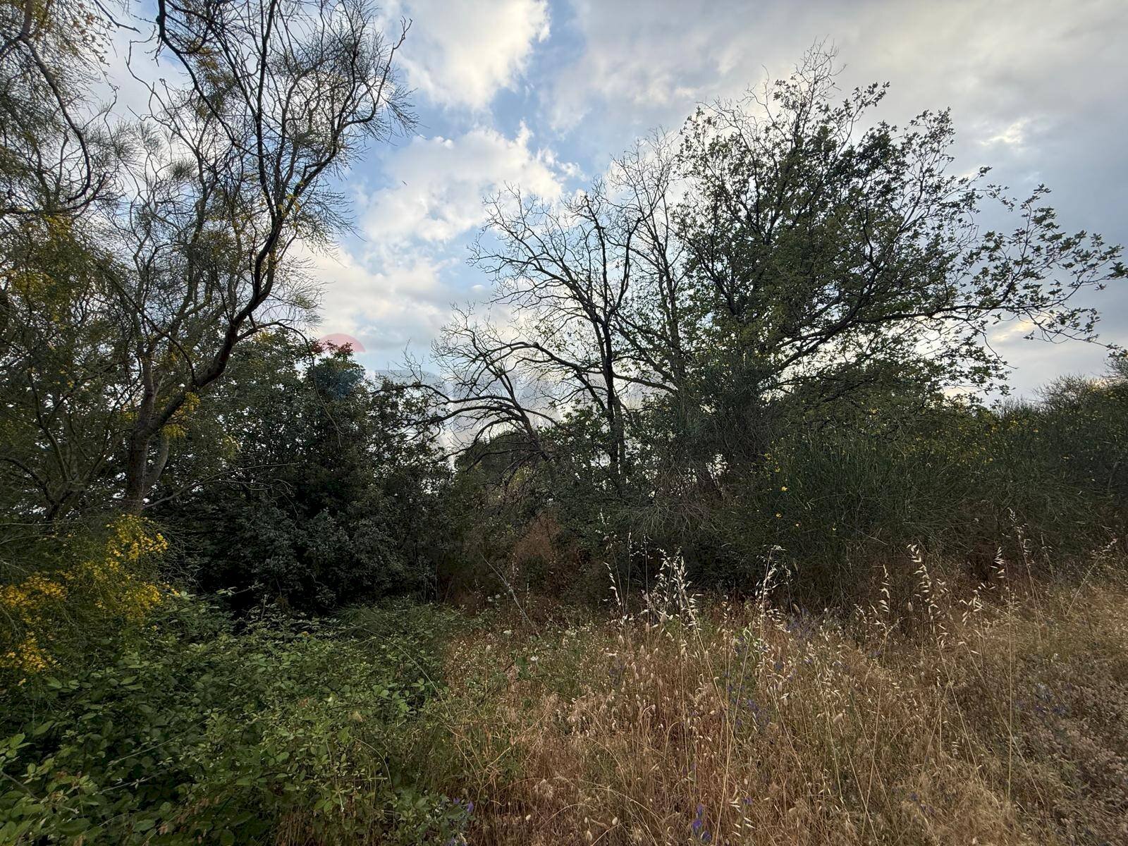 Non correlato - Agricultural land Contrada Fusara, Nicolosi - photo 3