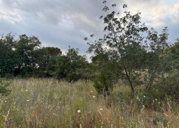 Giardino - Terreno agricolo Contrada Fusara, Nicolosi - foto 2