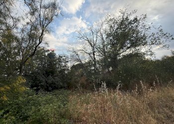 Non correlato - Terreno agricolo Contrada Fusara, Nicolosi - foto 3