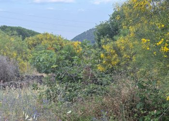 Vista delle montagne - Terreno agricolo Contrada Fusara, Nicolosi - foto 4