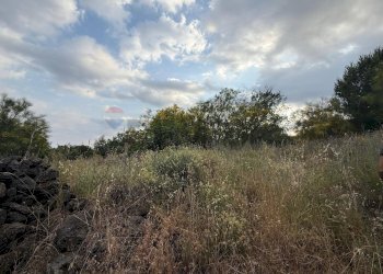 Non correlato - Terreno agricolo Contrada Fusara, Nicolosi - foto 5