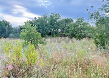 Giardino - Terreno agricolo Contrada Fusara, Nicolosi - foto 7