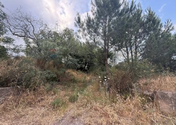 Giardino - Terreno agricolo Contrada Fusara, Nicolosi - foto 15