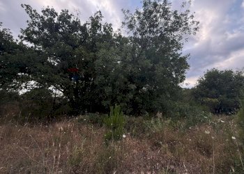 Non correlato - Terreno agricolo Contrada Fusara, Nicolosi - foto 18