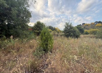 Giardino - Terreno agricolo Contrada Fusara, Nicolosi - foto 19